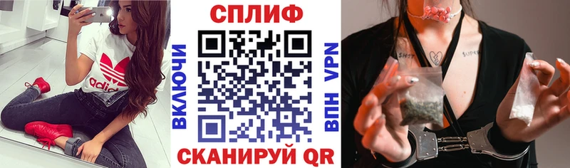 darknet как зайти  наркота  Щёкино  Бошки марихуана сатива 
